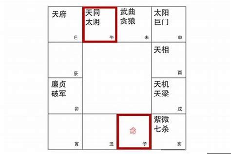 紫微斗數天同|天同星坐守命宫的分析 – 紫微麥